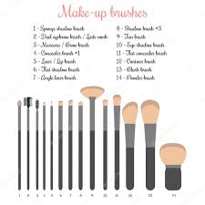 make up brushes set stock vector by