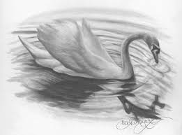 Learn how to draw pencil drawings and sketches step by step drawing tutorials. Learning To Draw With Graphite Pencil Here S What You Need To Know