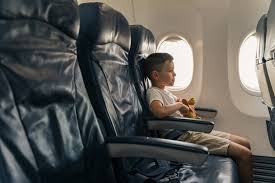 Favorite Toy Sitting On Airplane Seat