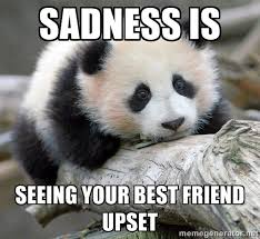 Sadness is Seeing your best friend upset - sad panda | Meme Generator via Relatably.com