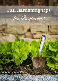 33 Diy Gardening Ideas For Fall