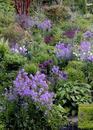 Steps To Creating A Quaint English Garden