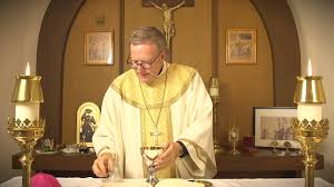 Bishop Robert Barron Daily Mass With Word On Fire 3 25 2020 Facebook