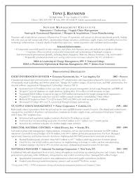 Executive Summary Example For Resume Examples Resumes