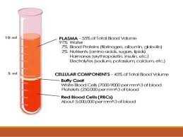 Esr Pcv Blood Indices Copy