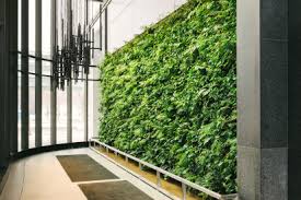 Design your natural, indoor plant wall and give your spaces a true nature inspired experience! Indoor Plant Walls Tag