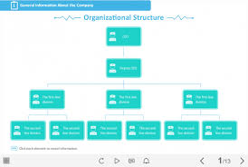 Medical Institution Organizational Structure Storyline