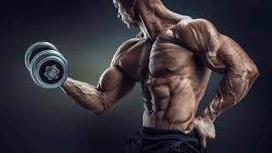 best supplements for muscle growth top