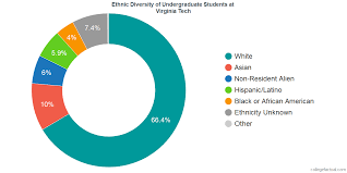 Virginia Tech Diversity Racial Demographics Other Stats