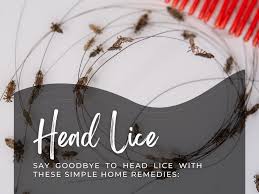 head lice with these trusted home remes