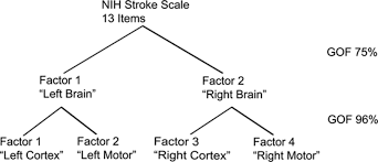 Using The National Institutes Of Health Stroke Scale Stroke