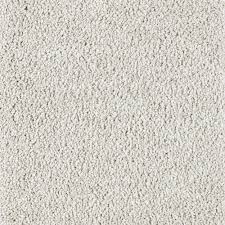 stainmaster petprotect sle alluring splendor iii greige textured carpet in brown stp45 l008 0808