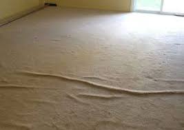 professional carpet repair germantown