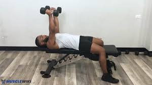 musclewiki exercises triceps