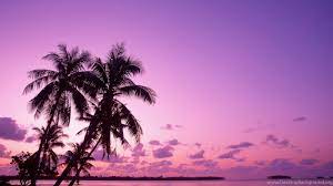 Pink Beach Sunset Backgrounds Desktop ...