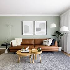 20 wall colors that go with brown