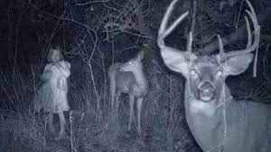Real or fake? Hunter's trail cam captures bizarre image, but we solved the  mystery