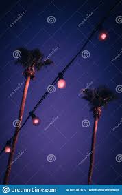 Desert Night Background With Palm Trees And String Lights