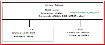 common roles in oracle with exles