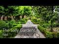 the sally gardens reel on the session