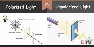 polarized light vs unpolarized light