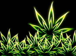 49 wallpapers of weed wallpapersafari