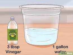 How To Clean Walls With Vinegar 14