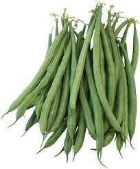 string beans vs green beans what s