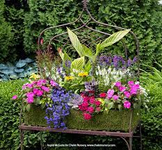 Colorful Summer Containers For Sunny