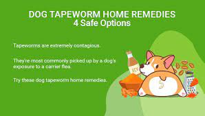 dog tapeworm home remes 4 safe