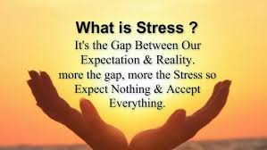 Exclusive & powerful stress quotes will give you a picture of how stress affects our lives, how we can relieve it, and how we manage stress effectively. Quotes Of Wisdom For Dealing With Stress If You Re Stressed You Get Pimples It You Cry You Get Wrinkles So Dogtrainingobedienceschool Com