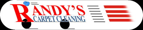 randy s carpet cleaning baby clean