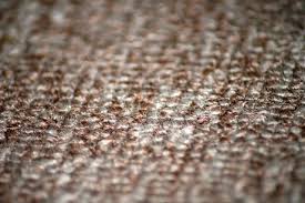 how to stop new carpet shedding hunker