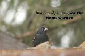 bird friendly netting for the home