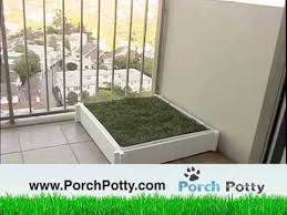 Porch Potty The Best Grass Potty Box