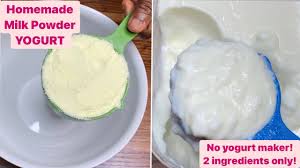 make yogurt from milk powder for