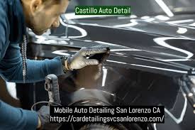 mobile auto detailing castillo auto