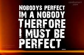 The harder you try to attain perfection, the harder you'll fail. Quote Nobodys Perfect Im A Nobody Therfore I Must Be Perfect Coolnsmart