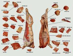 Alafis International Pty Ltd Beef Carcass Diagram