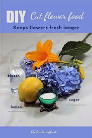 how to keep cut flowers fresh 15 tips