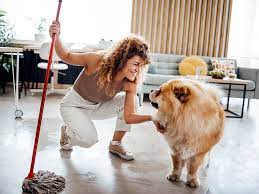 the best pet safe floor cleaners and