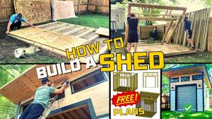 diy how to build a shed from start to