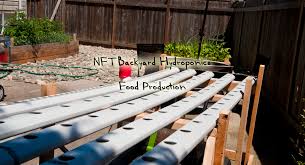 nft backyard hydroponics food