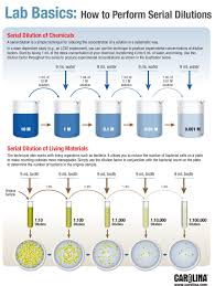 Infographic Lab Basics How To Perform Serial Dilutions