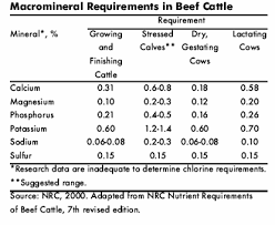 Mineral And Vitamin Nutrition For Beef Cattle