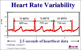 Heart Rate Monitors That Measure Variability Key Says New
