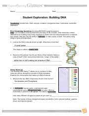 Building dna gizmo answer key is universally compatible afterward any devices to read. Building Dna 1 Name Date Student Exploration Building Dna Vocabulary Double Helix Dna Enzyme Mutation Nitrogenous Base Nucleoside Nucleotide Course Hero