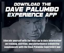 davepalumbo com welcome to dave s site