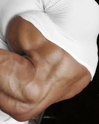 how to get bigger biceps fast