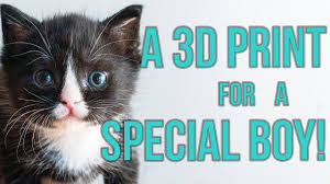 Congenital megaesophagus is an enlarged esophagus that is. Special Kitten Gets A 3d Print For Megaesophagus Youtube
